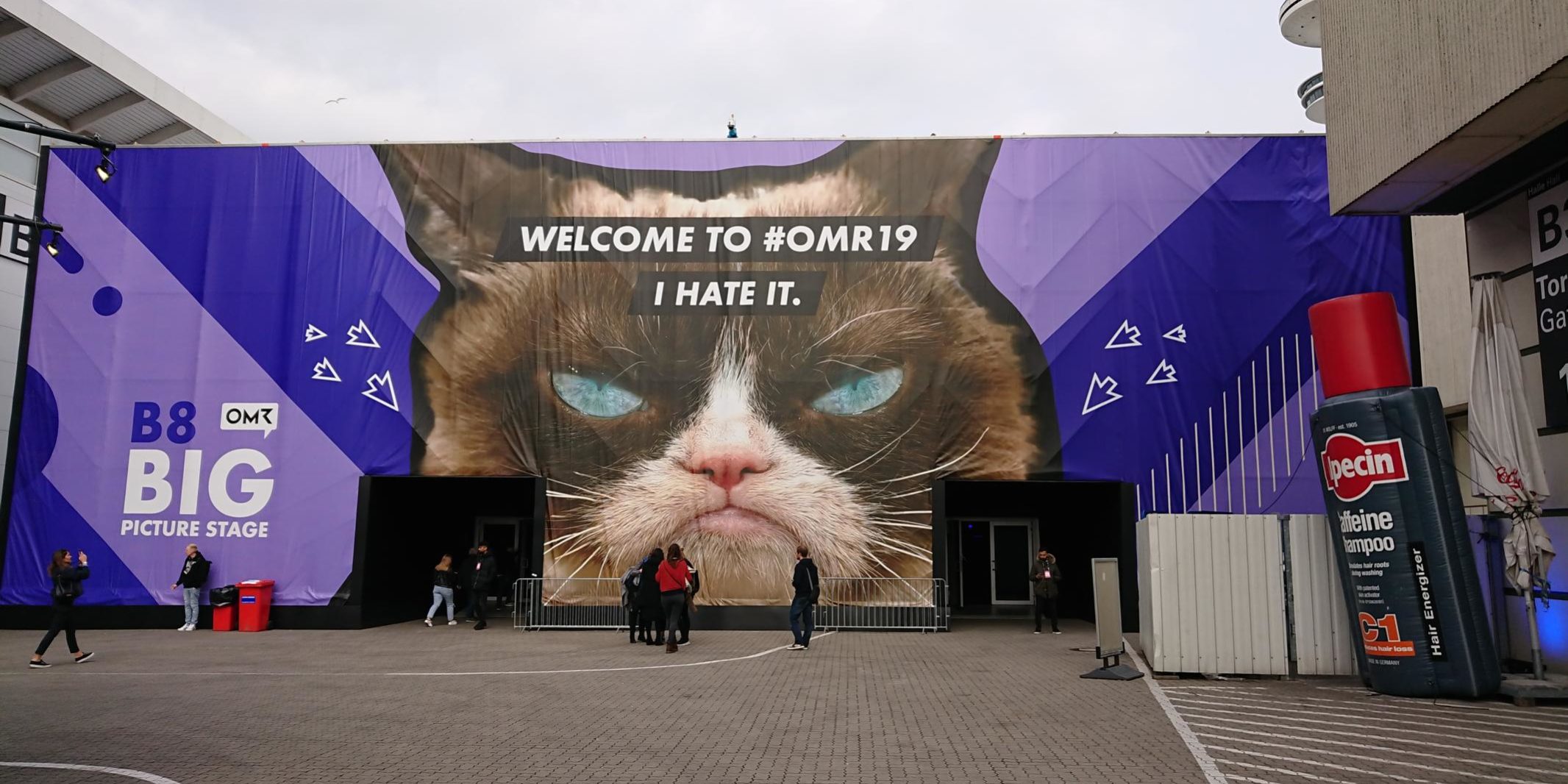 K1600_Grumpy-Cat OMR 19 Grumpy Cat